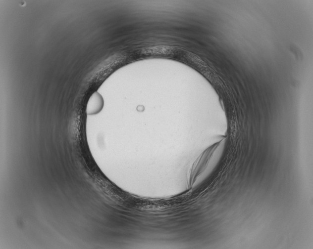 X0000110930735200907301623