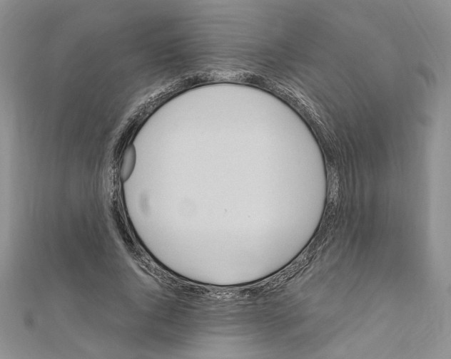 X0000110930736200907301623