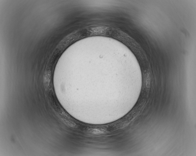 X0000110930737200907301623