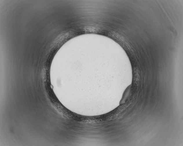 X0000110930738200907301623