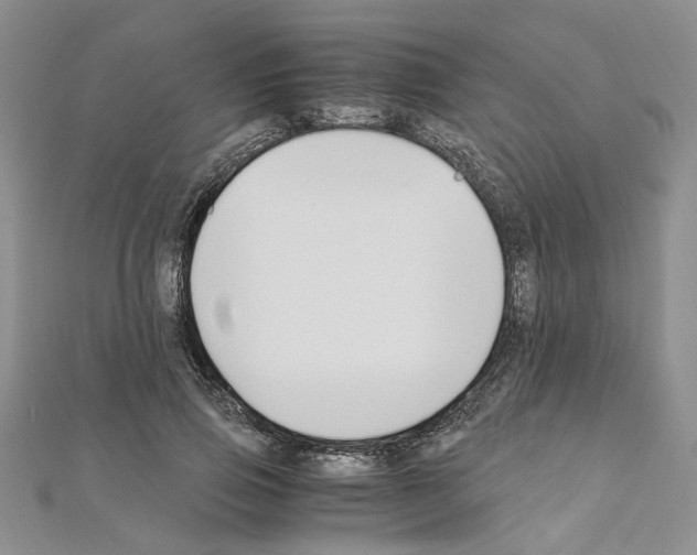 X0000110930741200907301623
