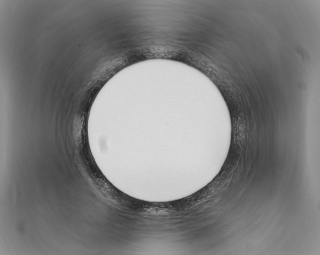 X0000110930742200907301623