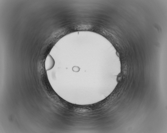 X0000110930743200907301623