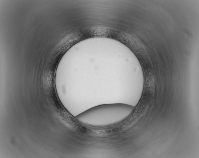X0000110930744200907301623
