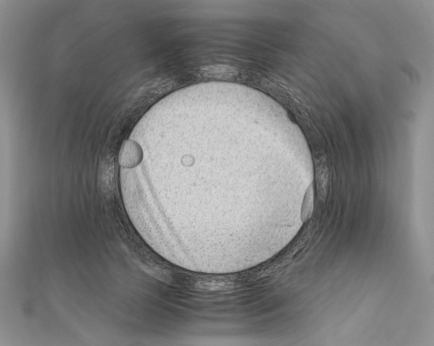 X0000110930745200907301623