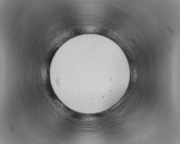 X0000110930746200907301623