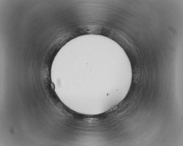X0000110930748200907301623