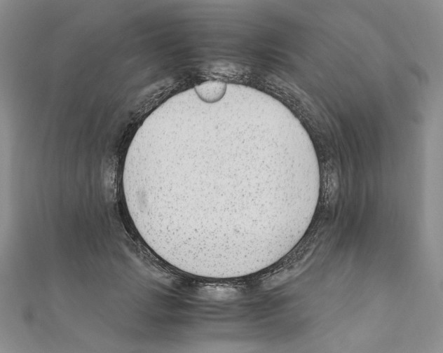 X0000110930749200907301623