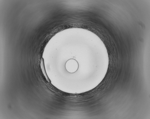 X0000110930752200907301623
