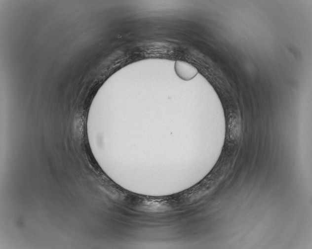 X0000110930753200907301623
