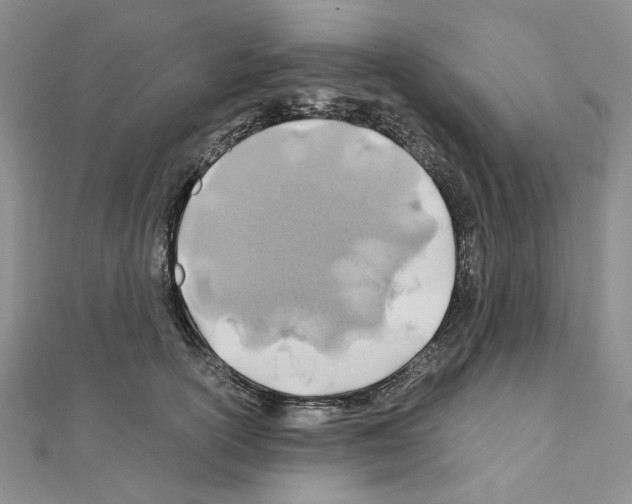 X0000110930754200907301623