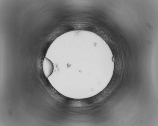 X0000110930755200907301623