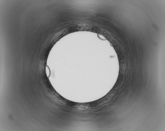 X0000110930756200907301623