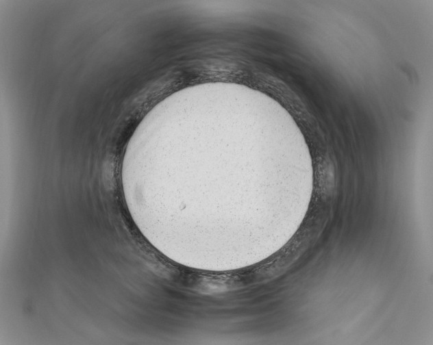 X0000110930757200907301623