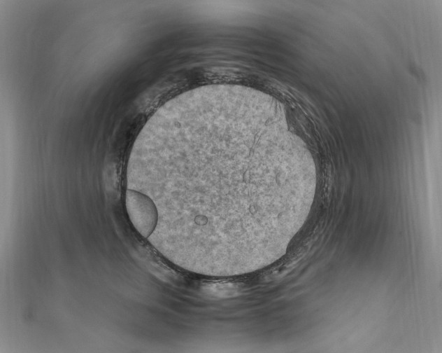 X0000110930759200907301623