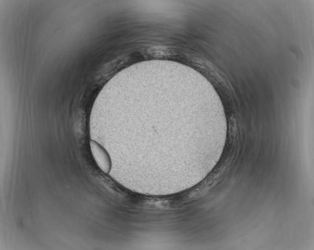 X0000110930760200907301623