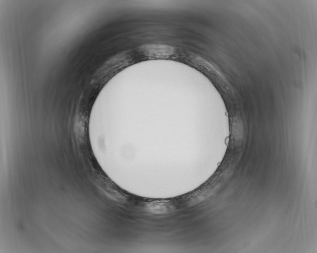 X0000110930761200907301623