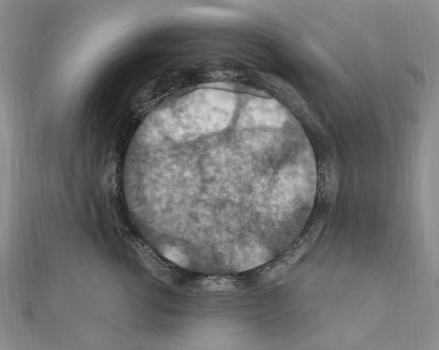 X0000110930762200907301623