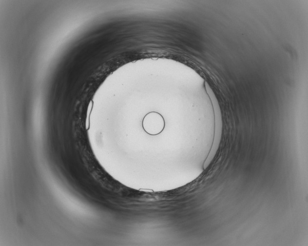X0000110930764200907301623