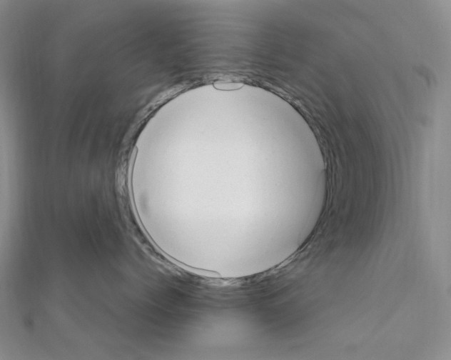 X0000110930768200907301623