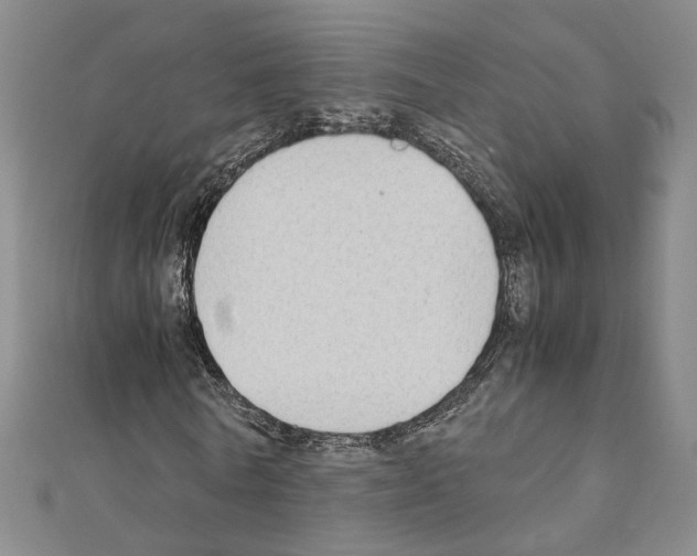 X0000110930770200907301623