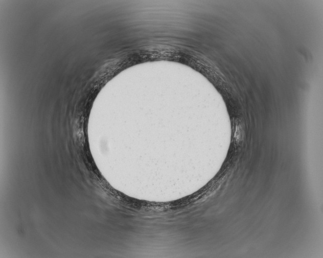 X0000110930771200907301623