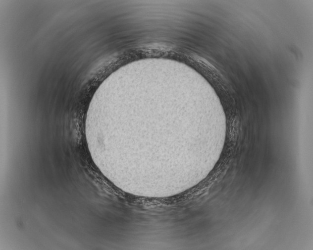 X0000110930774200907301623