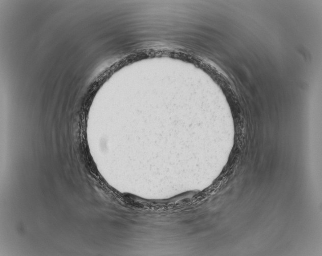 X0000110930775200907301623
