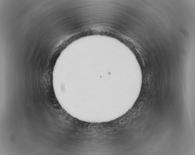 X0000110930776200907301623