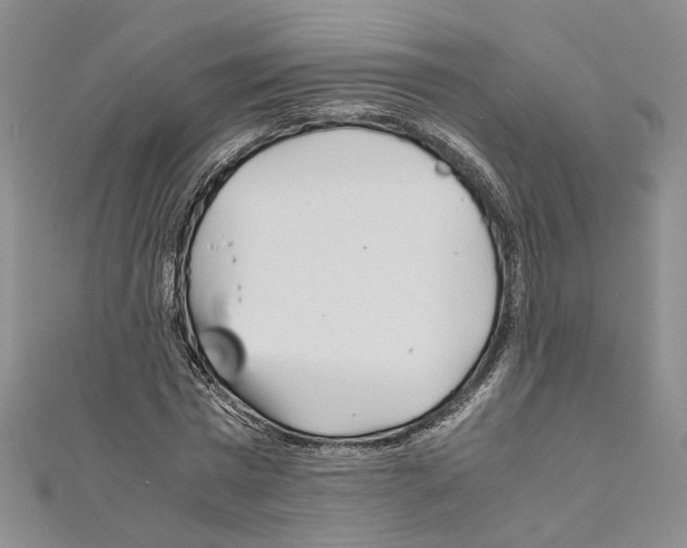 X0000110930777200907301623