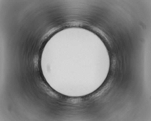 X0000110930778200907301623