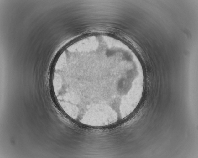 X0000110930779200907301623