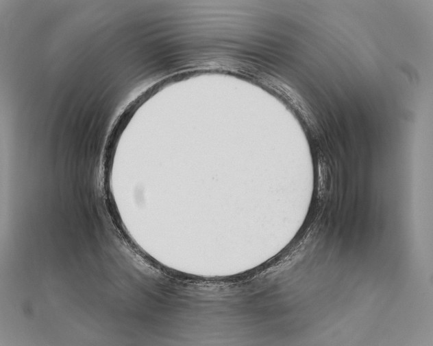 X0000110930780200907301623
