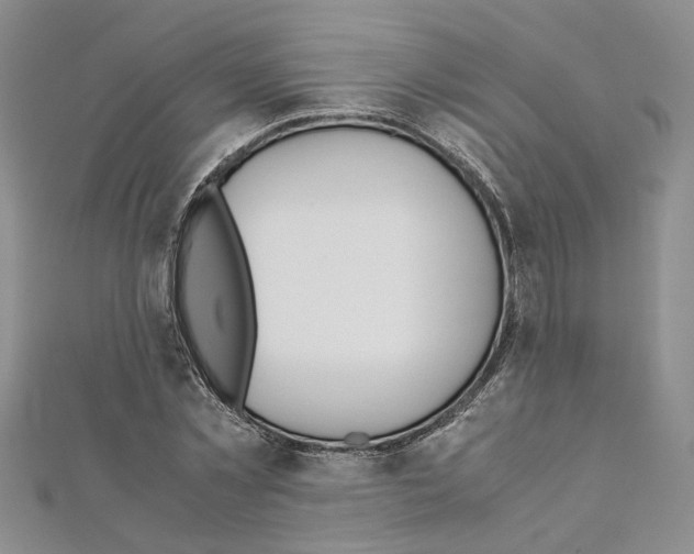 X0000110930781200907301623