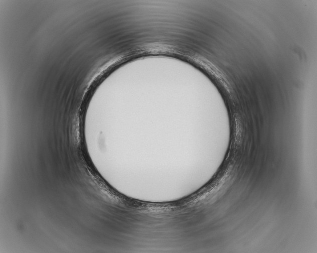 X0000110930782200907301623