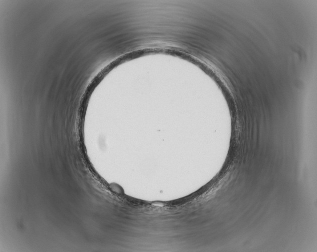 X0000110930783200907301623
