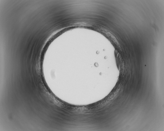 X0000110930784200907301623