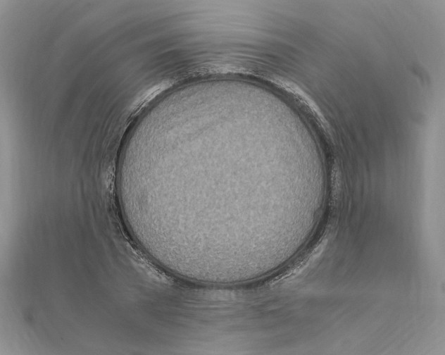 X0000110930785200907301623