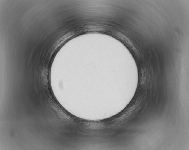 X0000110930786200907301622