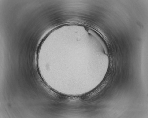 X0000110930788200907301622