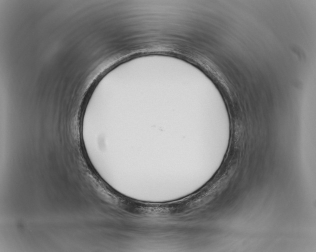 X0000110930789200907301622