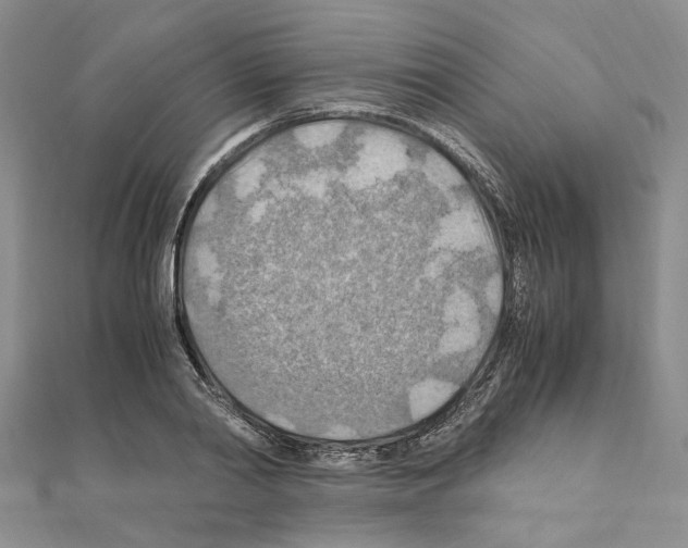 X0000110930790200907301622