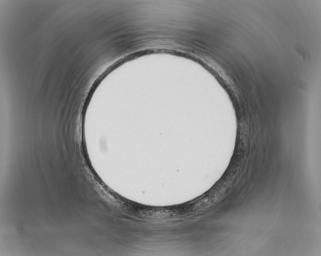 X0000110930791200907301622