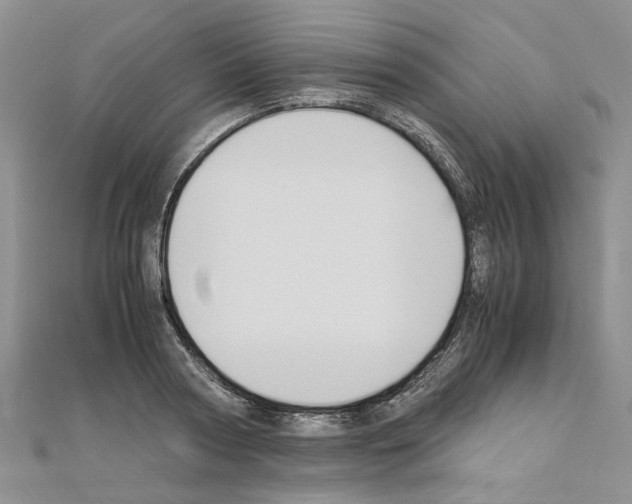 X0000110930794200907301622
