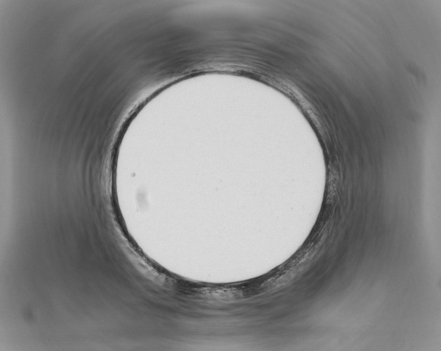 X0000110930795200907301622