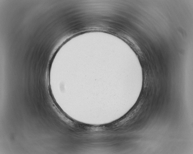 X0000110930796200907301622