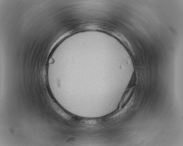 X0000110930798200907301622