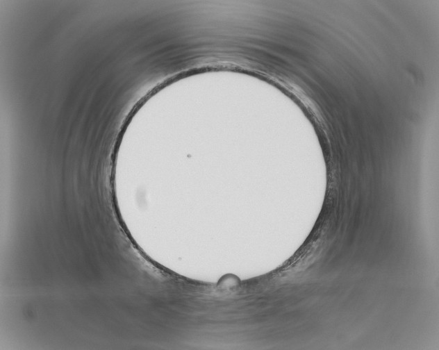 X0000110930799200907301622