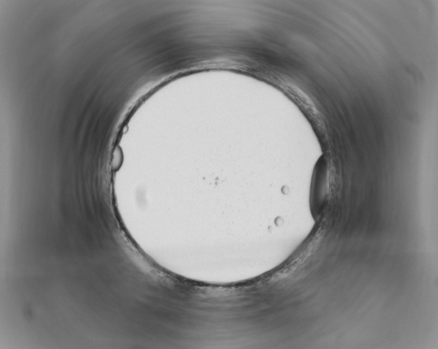 X0000110930800200907301622