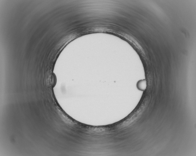 X0000110930801200907301622